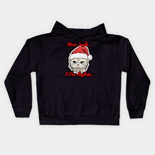 Dear Santa I Can Explain Cat Kids Hoodie